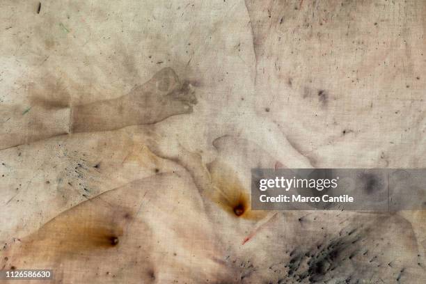 Detail of the paintings created by color powders and gunpowder , during the artistic performance "In The Volcano", by the artist Cai Guo Qiang, in...