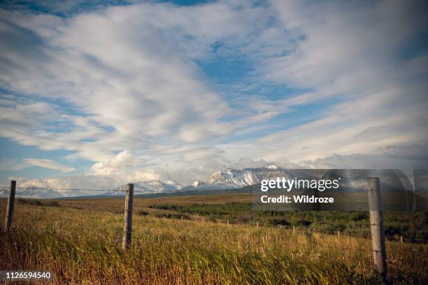 majestic mountains, southern alberta on way to waterton lakes national park - foothills stock pictures, royalty-free photos & images
