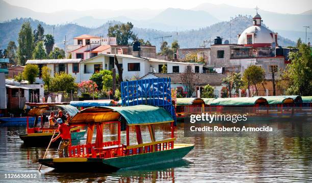 dozens of typical and characteristic trajinera boats moored on lake xochimilco south of mexico city - mexico city imagens e fotografias de stock