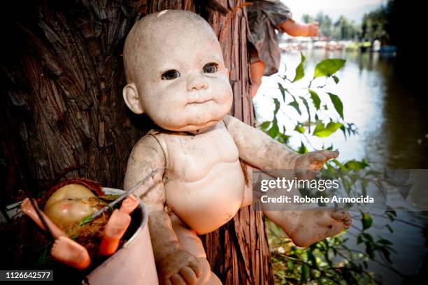 a detail on the island of the dolls in the xochimilco lagoon in mexico city - doll stock pictures, royalty-free photos & images