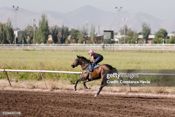 woman jockey riding a horse - jockey racehorse stock pictures, royalty-free photos & images
