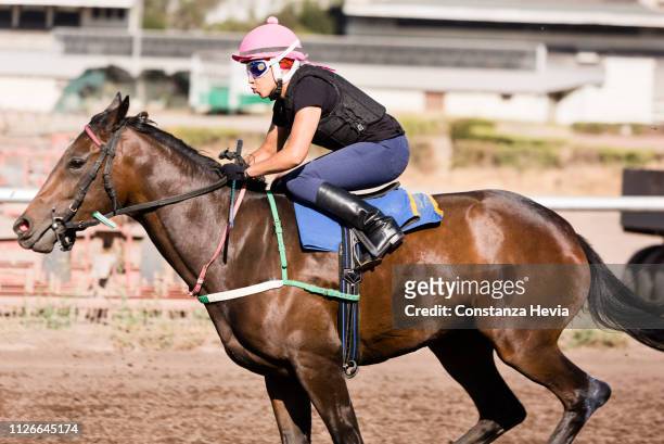 Woman Jockey riding a horse