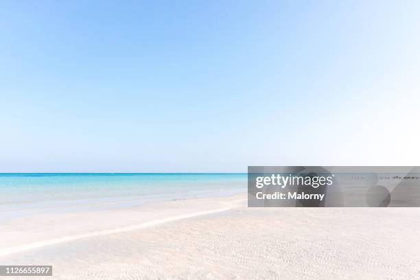 a beach, the turquoise colored sea a a clear blue sky. - holbox island fotografías e imágenes de stock