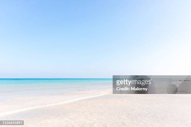 a beach, the turquoise colored sea a a clear blue sky. - isla holbox stock pictures, royalty-free photos & images