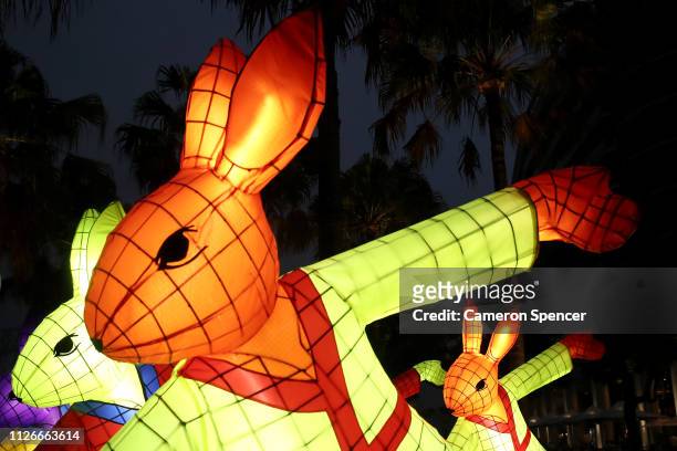 The Rabbit' zodiac lantern by artist Claudia Chan Shaw is illuminated on February 01, 2019 in Sydney, Australia. Sydney Lunar Festival has evolved...
