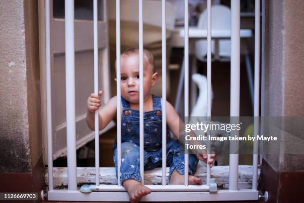 baby boy behind a security door with cat - baby gate stock pictures, royalty-free photos & images