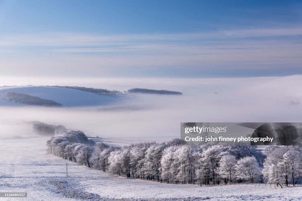 Winter trees in the mist near Sparrowpit, Derbyshire, Peak District. UK