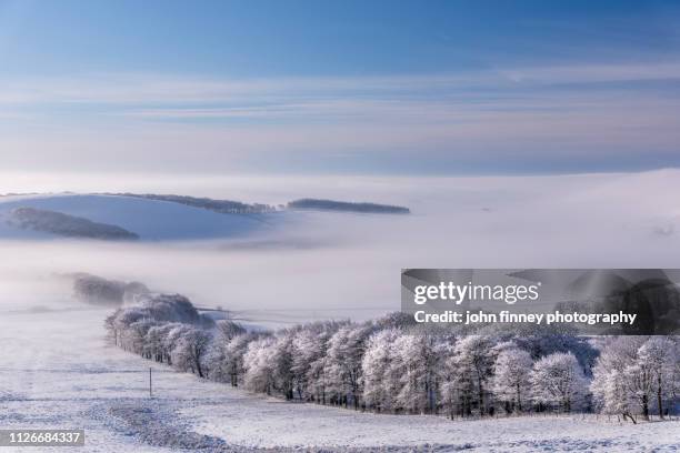 winter trees in the mist near sparrowpit, derbyshire, peak district. uk - buxton england stockfoto's en -beelden