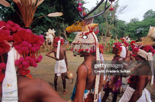 Muria Tribe in Chhattisgarh. Muria preparing a traditional dance in a village in the Bastar District. The Muria are one of the oldest original Indian...