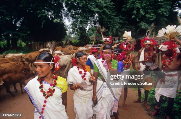 Muria Tribe in Chhattisgarh. Muria preparing a traditional dance in a village in the Bastar District. The Muria are one of the oldest original Indian...