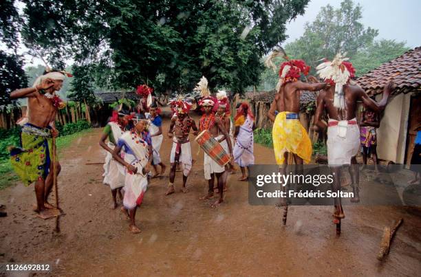 Muria Tribe in Chhattisgarh. Muria preparing a traditional dance in a village in the Bastar District. The Muria are one of the oldest original Indian...