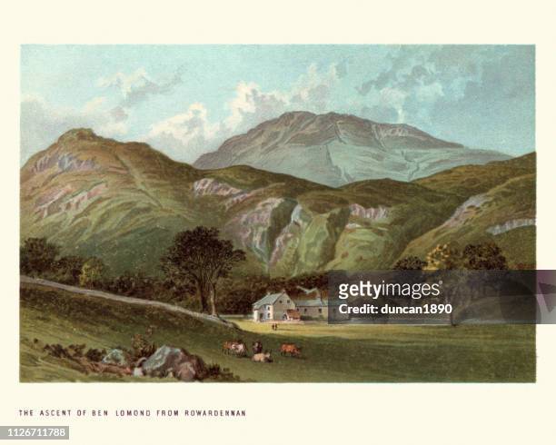 schottische landschaft, besteigung des ben lomond von rowardennan, 19. jahrhundert - farmhouse stock-grafiken, -clipart, -cartoons und -symbole
