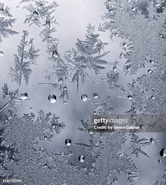 ice crystals on glass - snow flakes stock pictures, royalty-free photos & images