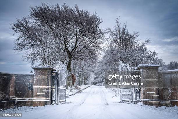 frosty iron gates and pillars with tree lined driveway in the snow - ireland winter stock pictures, royalty-free photos & images