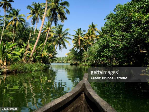 canoe and reflection of trees in water of kerala backwaters - laguna de kerala - fotografias e filmes do acervo
