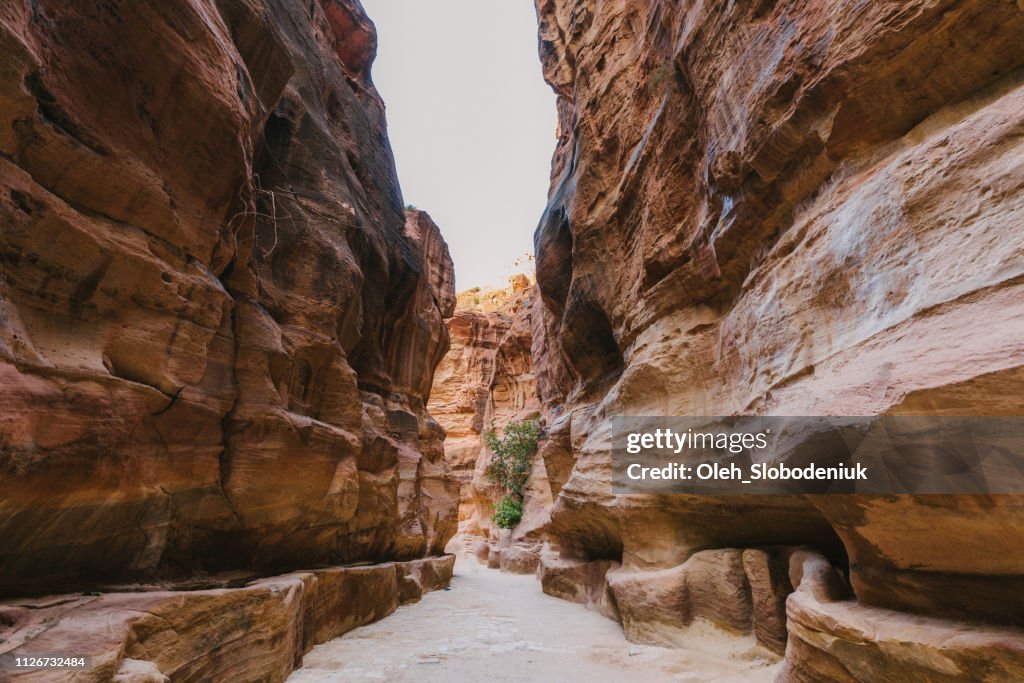 Scenic view of  Siq canyon in Petra