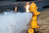 Close-up of yellow fire hydrant gushing water across a street with wet highway and tire from passing car behind