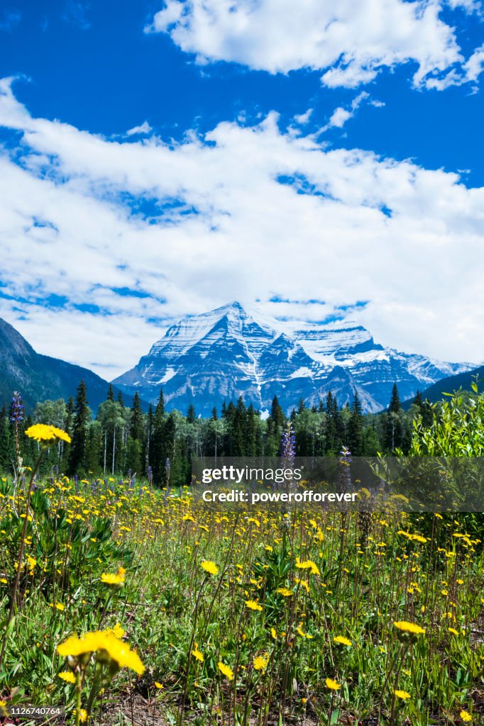 Mt Robson in den kanadischen Rocky Mountains von British Columbia, Kanada