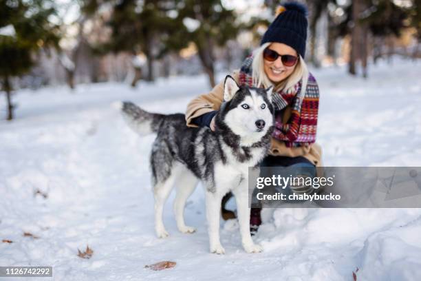 frau umarmt husky hund - huskies stock-fotos und bilder