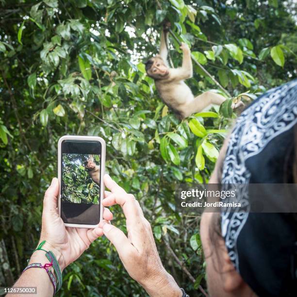 discovering the nature - digital signage stock pictures, royalty-free photos & images