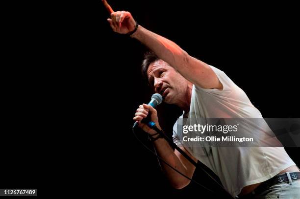 David Duchovny performs at O2 Shepherd's Bush Empire during the European 2019 Every Third Thought Tour on February 22, 2019 in London, England.