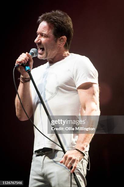 David Duchovny performs at O2 Shepherd's Bush Empire during the European 2019 Every Third Thought Tour on February 22, 2019 in London, England.