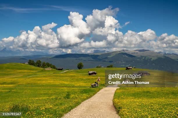 alpe di siusi (seiser alm), dolomite alps, italy, europe - alm hütte stock-fotos und bilder