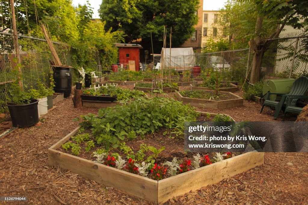 Brooklyn Community Garden