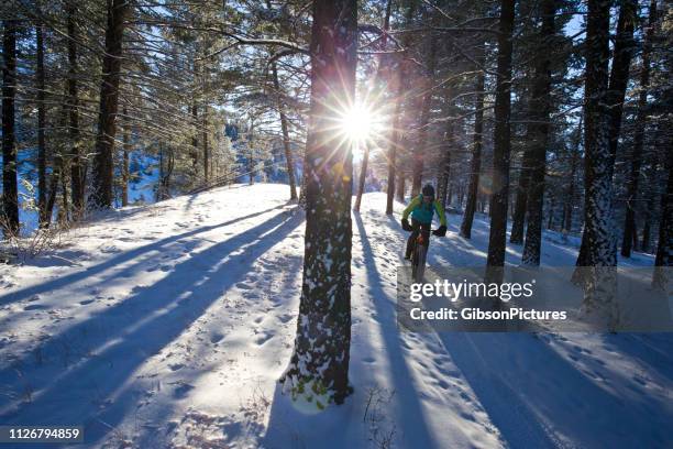 winter fatbike rit - canmore stockfoto's en -beelden