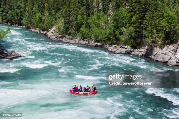 personnes rafting sur le fleuve fraser dans les montagnes rocheuses canadiennes de la colombie-britannique, canada - whitewater rafting photos et images de collection