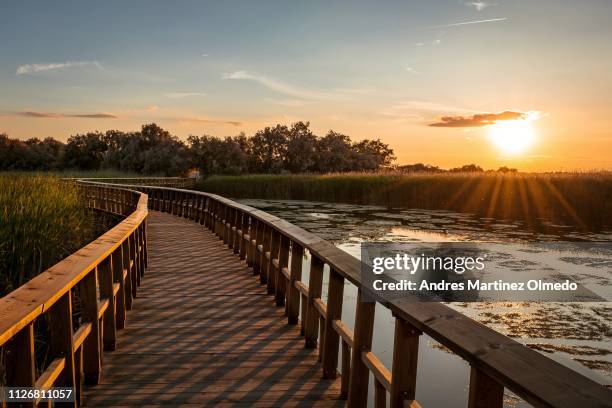 tablas de daimiel - ciudad real stock pictures, royalty-free photos & images