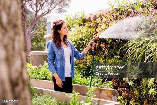 woman watering plants at community garden - garden hose stock pictures, royalty-free photos & images
