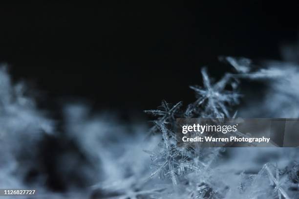 snow flakes macrophotography - ice crystal stock pictures, royalty-free photos & images