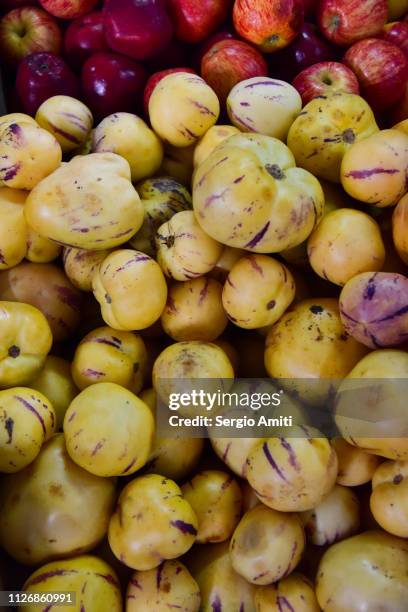 solanum muricatum fruits - pepino stock-fotos und bilder