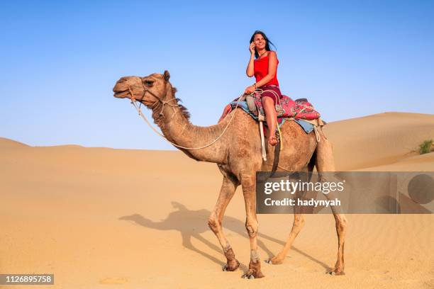 jeune touriste femelle à l’aide de mobile sur un chameau - 2015 bride photos et images de collection