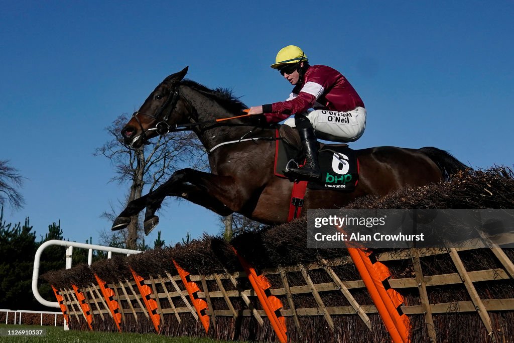 Leopardstown Races