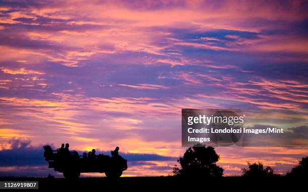a silhouette of the side profile of people sitting in a land rover against pink, purple and yellow sunset sky. - land rover stock pictures, royalty-free photos & images