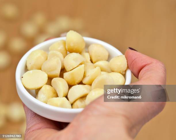 macadamia nuts - macadamia stock pictures, royalty-free photos & images