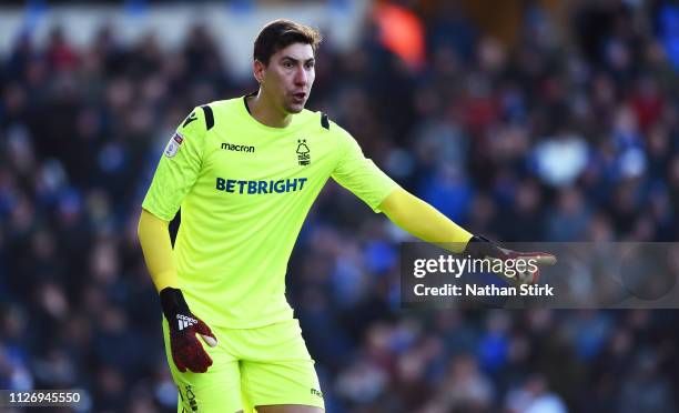 Costel Pantilimon of Nottingham Forest gestures during the Sky Bet Championship between Birmingham City and Nottingham Forest at St Andrew's Trillion...