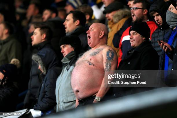 Topless Sheffield Wednesday fan is seen during the Sky Bet Championship match between Ipswich Town and Sheffield Wednesday at Portman Road on...