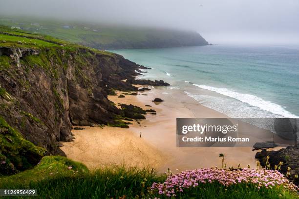 slea head beach on a foggy day, dingle peninsula, county kerry, munster province, ireland. - county waterford ireland stockfoto's en -beelden