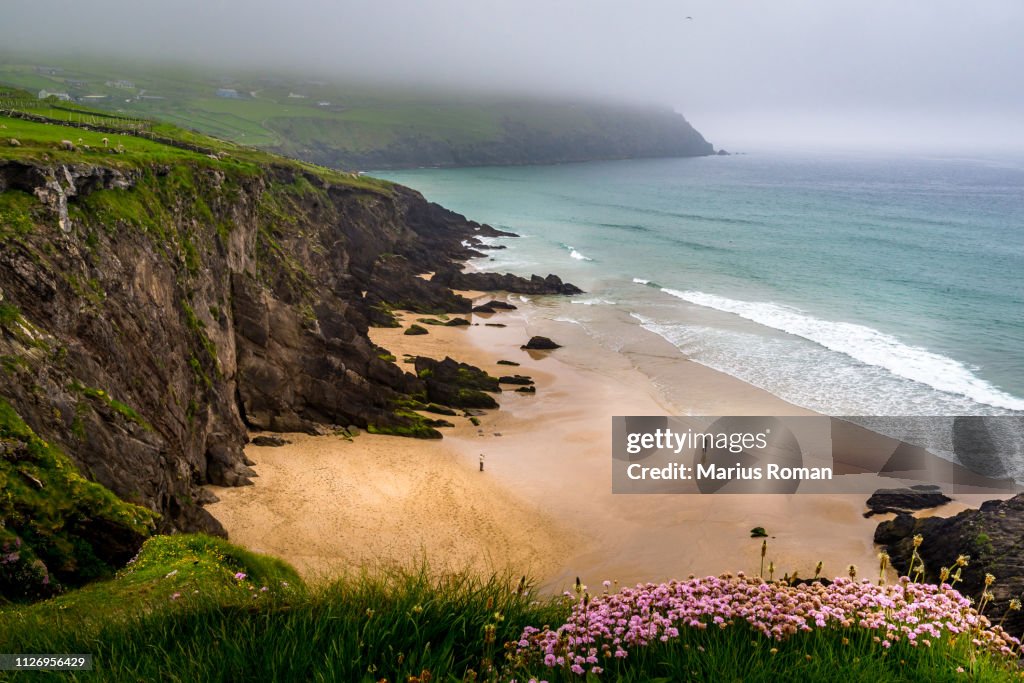 Slea Head beach on a foggy day, Dingle Peninsula, County Kerry, Munster Province, Ireland.