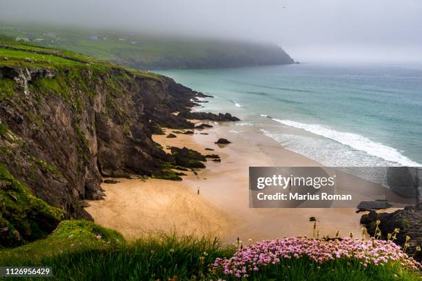 slea head beach on a foggy day, dingle peninsula, county kerry, munster province, ireland. - county waterford ireland stock pictures, royalty-free photos & images