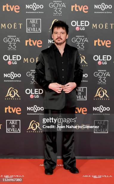 Coque Malla attends the Goya Cinema Awards 2019 during the 33rd edition of the Goya Cinema Awards at Palacio de Congresos y Exposiciones FIBES on...