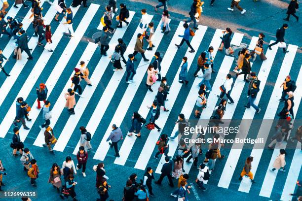 people walking at shibuya crossing, tokyo - road intersection stock-fotos und bilder