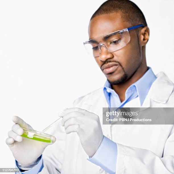 african american scientist working with petri dish - young man scientist stock pictures, royalty-free photos & images