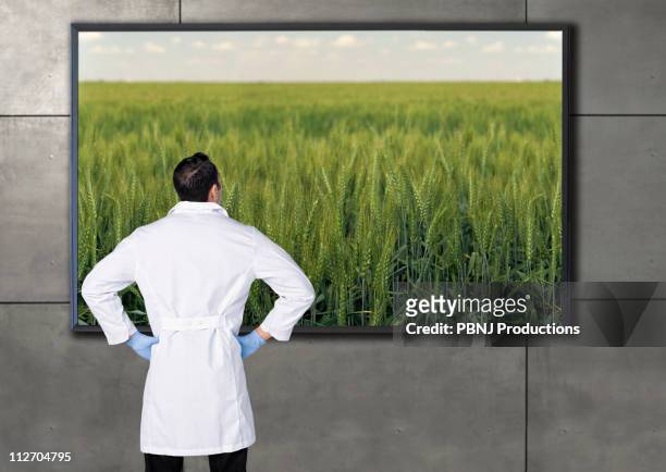 hispanic scientist looking at agricultural image on television screen - video reviewed stock pictures, royalty-free photos & images