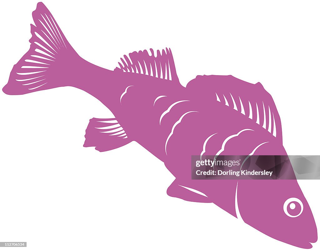 Digital illustration of pink fish on white background