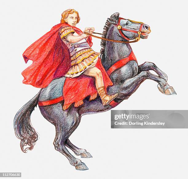 illustrations, cliparts, dessins animés et icônes de illustration of alexander the great on his horse, bucephalus - cheval cabré