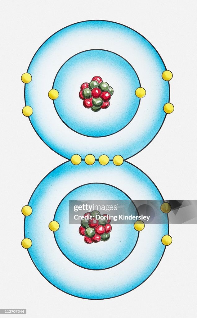 Is O2 Double Bonded Oxygen Atom Oxygen Atom (digital Download) Black And White Vector Clip